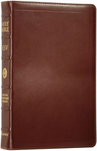 esv-study-bible