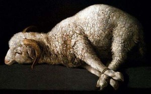 lamb-of-god