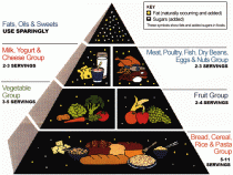 US RDA nutrition-foodpyramid