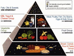 US RDA nutrition-foodpyramid