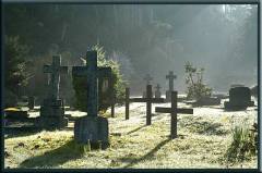 cemetary