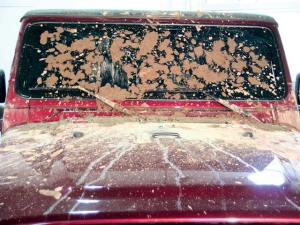 muddy_windshield
