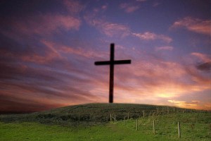 bible-daily.org